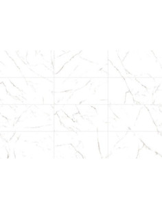 Bianco Apuano Pulido - -segunda- 60 X 120 2